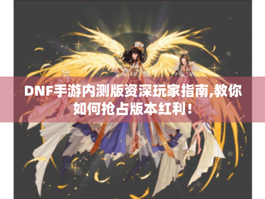 DNF手游内测版资深玩家指南,教你如何抢占版本红利！
