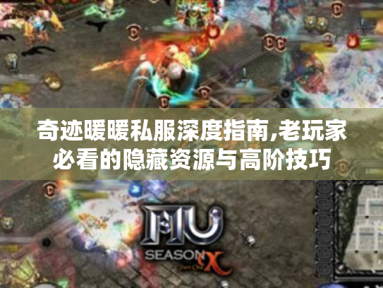 奇迹暖暖私服深度指南,老玩家必看的隐藏资源与高阶技巧 奇迹暖暖私服深度指南,老玩家必看的隐藏资源与高阶技巧
