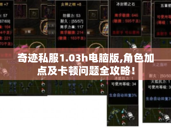 奇迹私服1.03h电脑版,角色加点及卡顿问题全攻略！