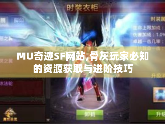 MU奇迹SF网站,骨灰玩家必知的资源获取与进阶技巧