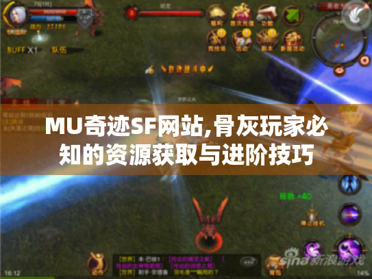 MU奇迹SF网站,骨灰玩家必知的资源获取与进阶技巧