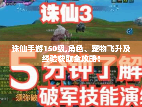 诛仙手游150级,角色、宠物飞升及经验获取全攻略! 诛仙手游150级,角色、宠物飞升及经验获取全攻略!
