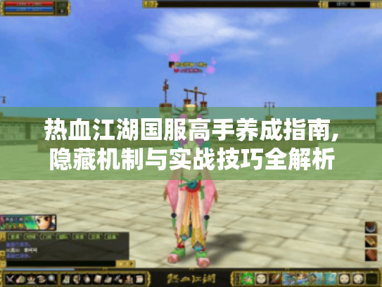 热血江湖国服高手养成指南,隐藏机制与实战技巧全解析 热血江湖国服高手养成指南,隐藏机制与实战技巧全解析