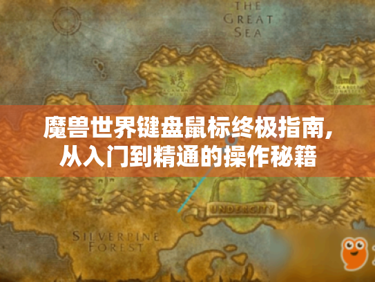 魔兽世界键盘鼠标终极指南,从入门到精通的操作秘籍 魔兽世界键盘鼠标终极指南,从入门到精通的操作秘籍