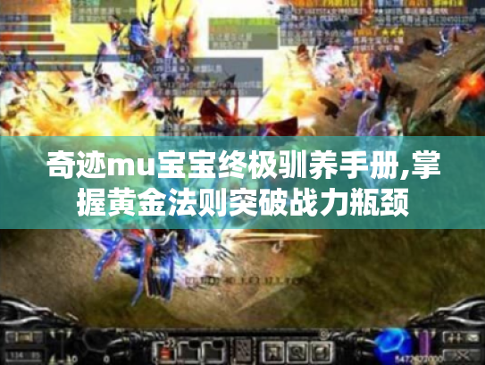 奇迹mu宝宝终极驯养手册,掌握黄金法则突破战力瓶颈