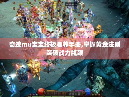 奇迹mu宝宝终极驯养手册,掌握黄金法则突破战力瓶颈