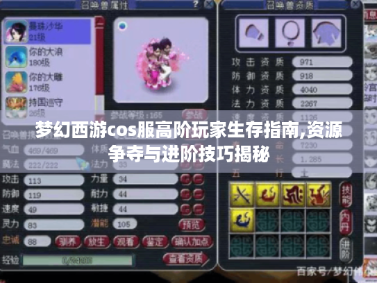 梦幻西游cos服高阶玩家生存指南,资源争夺与进阶技巧揭秘 梦幻西游cos服高阶玩家生存指南,资源争夺与进阶技巧揭秘