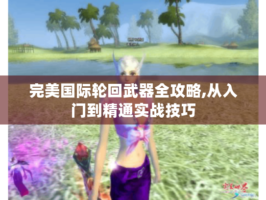 完美国际轮回武器全攻略,从入门到精通实战技巧 完美国际轮回武器全攻略,从入门到精通实战技巧