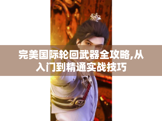 完美国际轮回武器全攻略,从入门到精通实战技巧 完美国际轮回武器全攻略,从入门到精通实战技巧