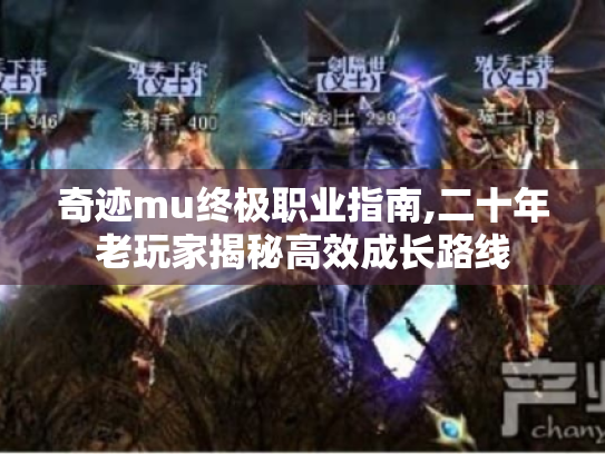 奇迹mu终极职业指南,二十年老玩家揭秘高效成长路线