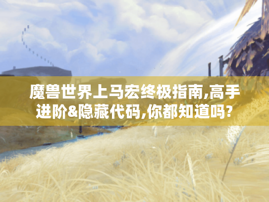 魔兽世界上马宏终极指南,高手进阶&隐藏代码,你都知道吗? 魔兽世界上马宏终极指南,高手进阶&隐藏代码,你都知道吗?