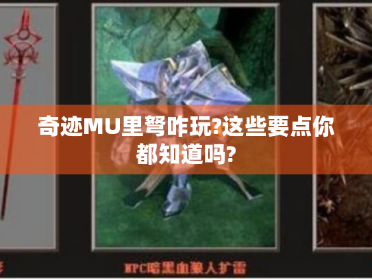 奇迹MU里弩咋玩?这些要点你都知道吗?