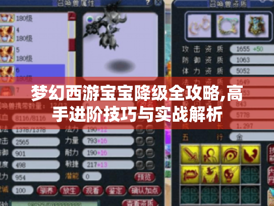 梦幻西游宝宝降级全攻略,高手进阶技巧与实战解析 梦幻西游宝宝降级全攻略,高手进阶技巧与实战解析