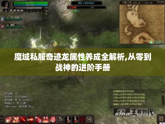 魔域私服奇迹龙属性养成全解析,从零到战神的进阶手册 魔域私服奇迹龙属性养成全解析,从零到战神的进阶手册