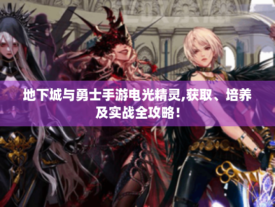地下城与勇士手游电光精灵,获取、培养及实战全攻略! 地下城与勇士手游电光精灵,获取、培养及实战全攻略!