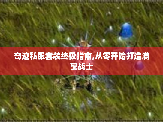 奇迹私服套装终极指南,从零开始打造满配战士 奇迹私服套装终极指南,从零开始打造满配战士