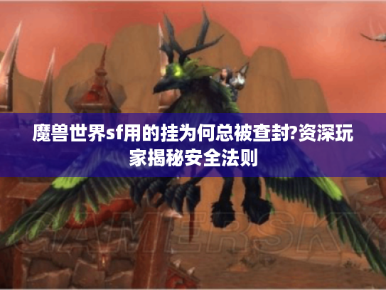 魔兽世界sf用的挂为何总被查封?资深玩家揭秘安全法则 魔兽世界sf用的挂为何总被查封?资深玩家揭秘安全法则