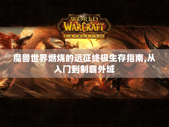 魔兽世界燃烧的远征终极生存指南,从入门到制霸外域 魔兽世界燃烧的远征终极生存指南,从入门到制霸外域