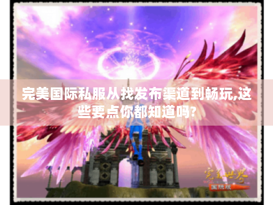 完美国际私服从找发布渠道到畅玩,这些要点你都知道吗? 完美国际私服从找发布渠道到畅玩,这些要点你都知道吗?