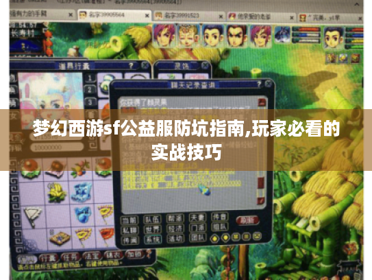 梦幻西游sf公益服防坑指南,玩家必看的实战技巧 梦幻西游sf公益服防坑指南,玩家必看的实战技巧