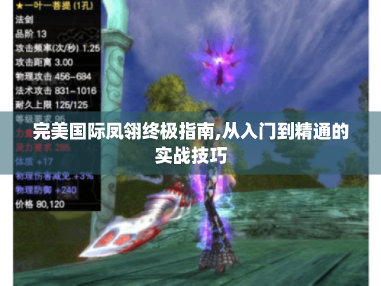 完美国际凤翎终极指南,从入门到精通的实战技巧 完美国际凤翎终极指南,从入门到精通的实战技巧