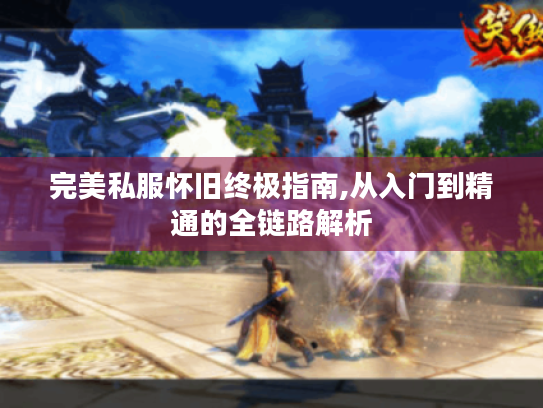 完美私服怀旧终极指南,从入门到精通的全链路解析 完美私服怀旧终极指南,从入门到精通的全链路解析