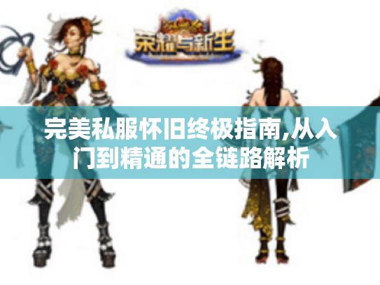 完美私服怀旧终极指南,从入门到精通的全链路解析 完美私服怀旧终极指南,从入门到精通的全链路解析