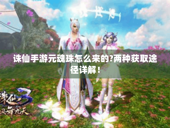 诛仙手游元魂珠怎么来的?两种获取途径详解! 诛仙手游元魂珠怎么来的?两种获取途径详解!