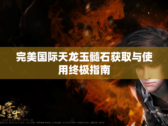 完美国际天龙玉髓石获取与使用终极指南