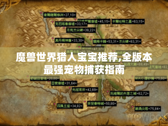 魔兽世界猎人宝宝推荐,全版本最强宠物捕获指南 魔兽世界猎人宝宝推荐,全版本最强宠物捕获指南