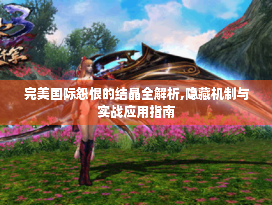 完美国际怨恨的结晶全解析,隐藏机制与实战应用指南 完美国际怨恨的结晶全解析,隐藏机制与实战应用指南
