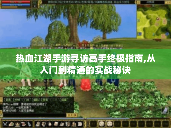 热血江湖手游寻访高手终极指南,从入门到精通的实战秘诀 热血江湖手游寻访高手终极指南,从入门到精通的实战秘诀