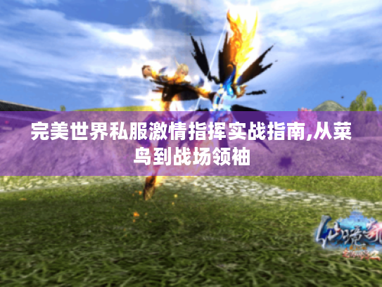完美世界私服激情指挥实战指南,从菜鸟到战场领袖 完美世界私服激情指挥实战指南,从菜鸟到战场领袖