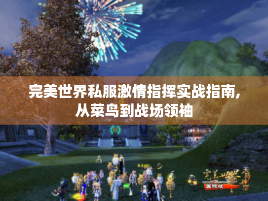 完美世界私服激情指挥实战指南,从菜鸟到战场领袖 完美世界私服激情指挥实战指南,从菜鸟到战场领袖
