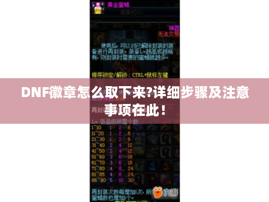 DNF徽章怎么取下来?详细步骤及注意事项在此! DNF徽章怎么取下来?详细步骤及注意事项在此!