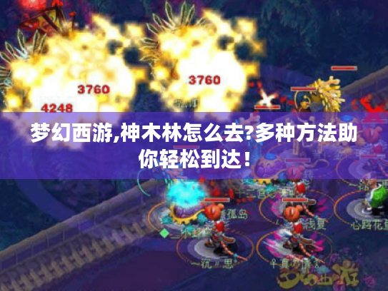 梦幻西游,神木林怎么去?多种方法助你轻松到达! 梦幻西游,神木林怎么去?多种方法助你轻松到达!