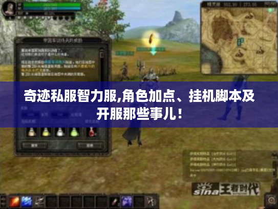 奇迹私服智力服,角色加点、挂机脚本及开服那些事儿！