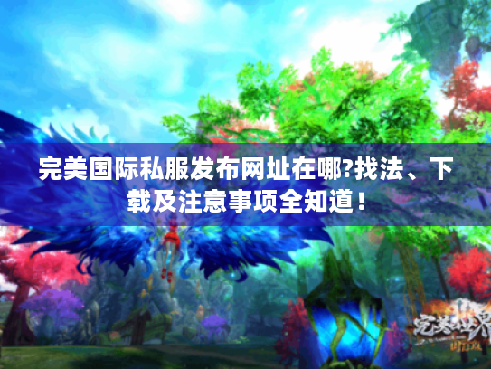 完美国际私服发布网址在哪?找法、下载及注意事项全知道！