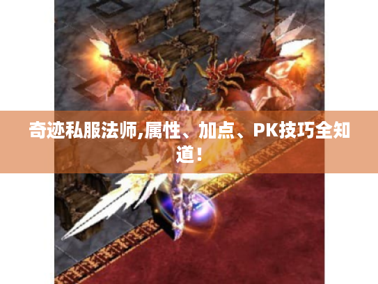 奇迹私服法师,属性、加点、PK技巧全知道! 奇迹私服法师,属性、加点、PK技巧全知道!