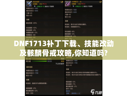 DNF1713补丁下载、技能改动及骸麟骨戒攻略,你知道吗? DNF1713补丁下载、技能改动及骸麟骨戒攻略,你知道吗?