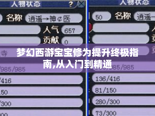 梦幻西游宝宝修为提升终极指南,从入门到精通