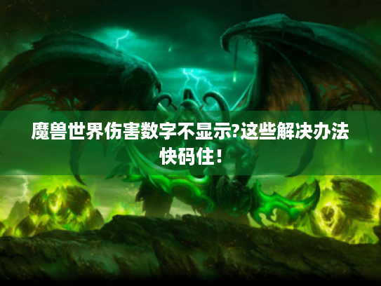 魔兽世界伤害数字不显示?这些解决办法快码住! 魔兽世界伤害数字不显示?这些解决办法快码住!