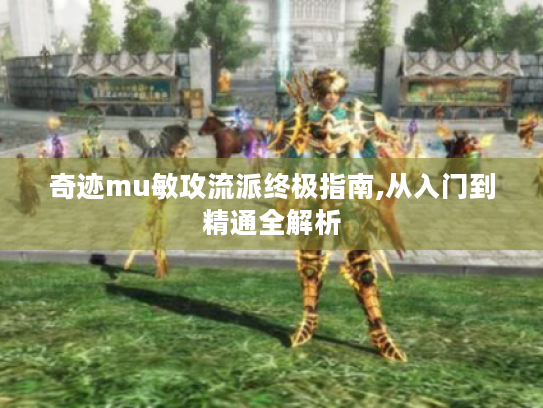 奇迹mu敏攻流派终极指南,从入门到精通全解析 奇迹mu敏攻流派终极指南,从入门到精通全解析