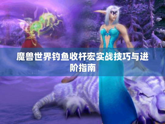 魔兽世界钓鱼收杆宏实战技巧与进阶指南 魔兽世界钓鱼收杆宏实战技巧与进阶指南