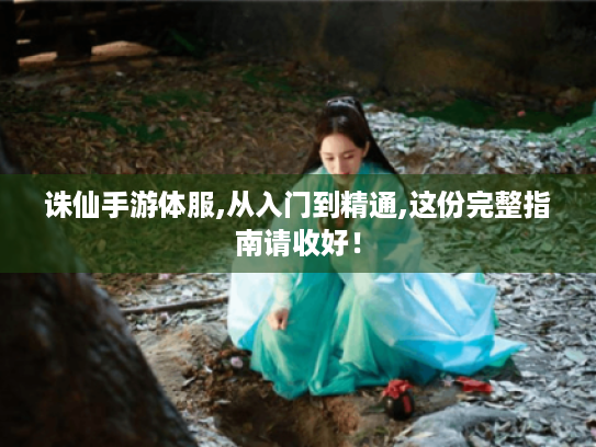 诛仙手游体服,从入门到精通,这份完整指南请收好! 诛仙手游体服,从入门到精通,这份完整指南请收好!