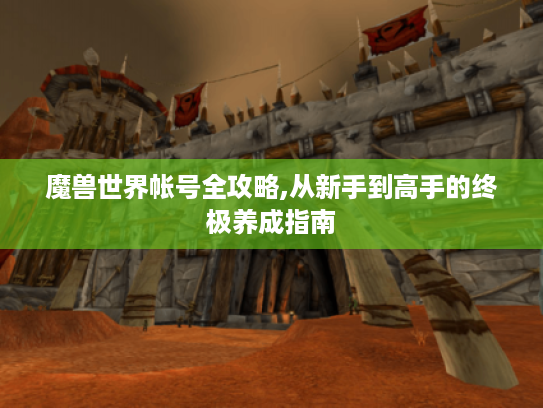 魔兽世界帐号全攻略,从新手到高手的终极养成指南 魔兽世界帐号全攻略,从新手到高手的终极养成指南