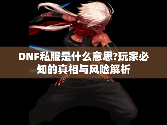 DNF私服是什么意思?玩家必知的真相与风险解析 DNF私服是什么意思?玩家必知的真相与风险解析
