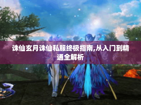 诛仙玄月诛仙私服终极指南,从入门到精通全解析