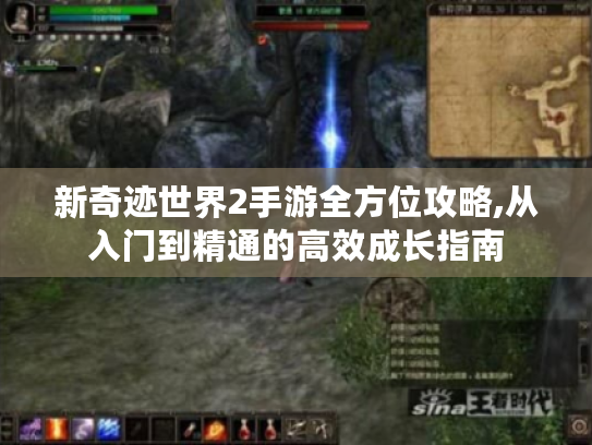 新奇迹世界2手游全方位攻略,从入门到精通的高效成长指南 新奇迹世界2手游全方位攻略,从入门到精通的高效成长指南