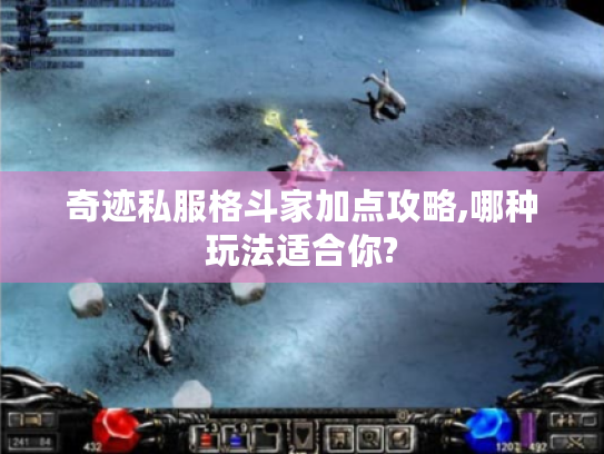 奇迹私服格斗家加点攻略,哪种玩法适合你?